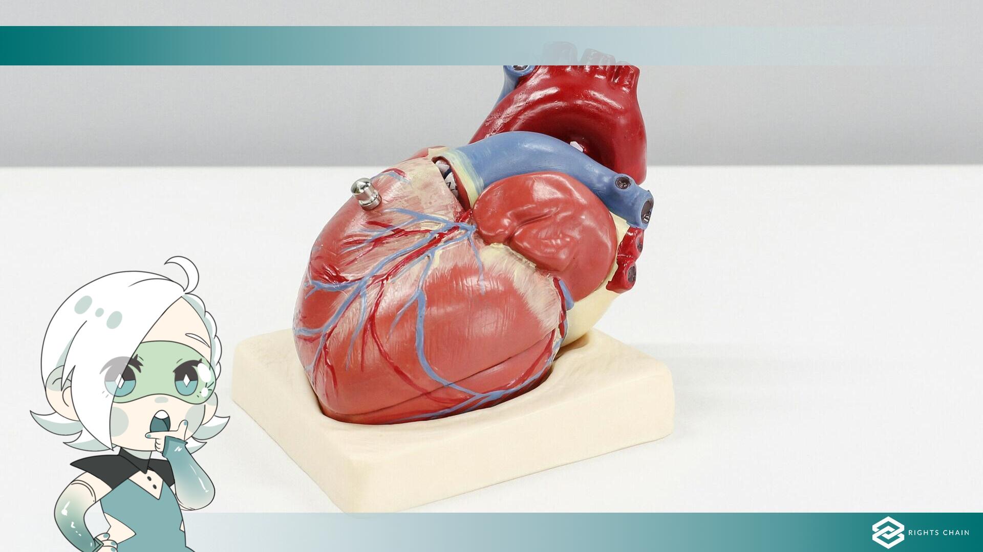  Sviluppata una nuova tecnologia AI per rilevare precocemente l'insufficienza cardiaca.