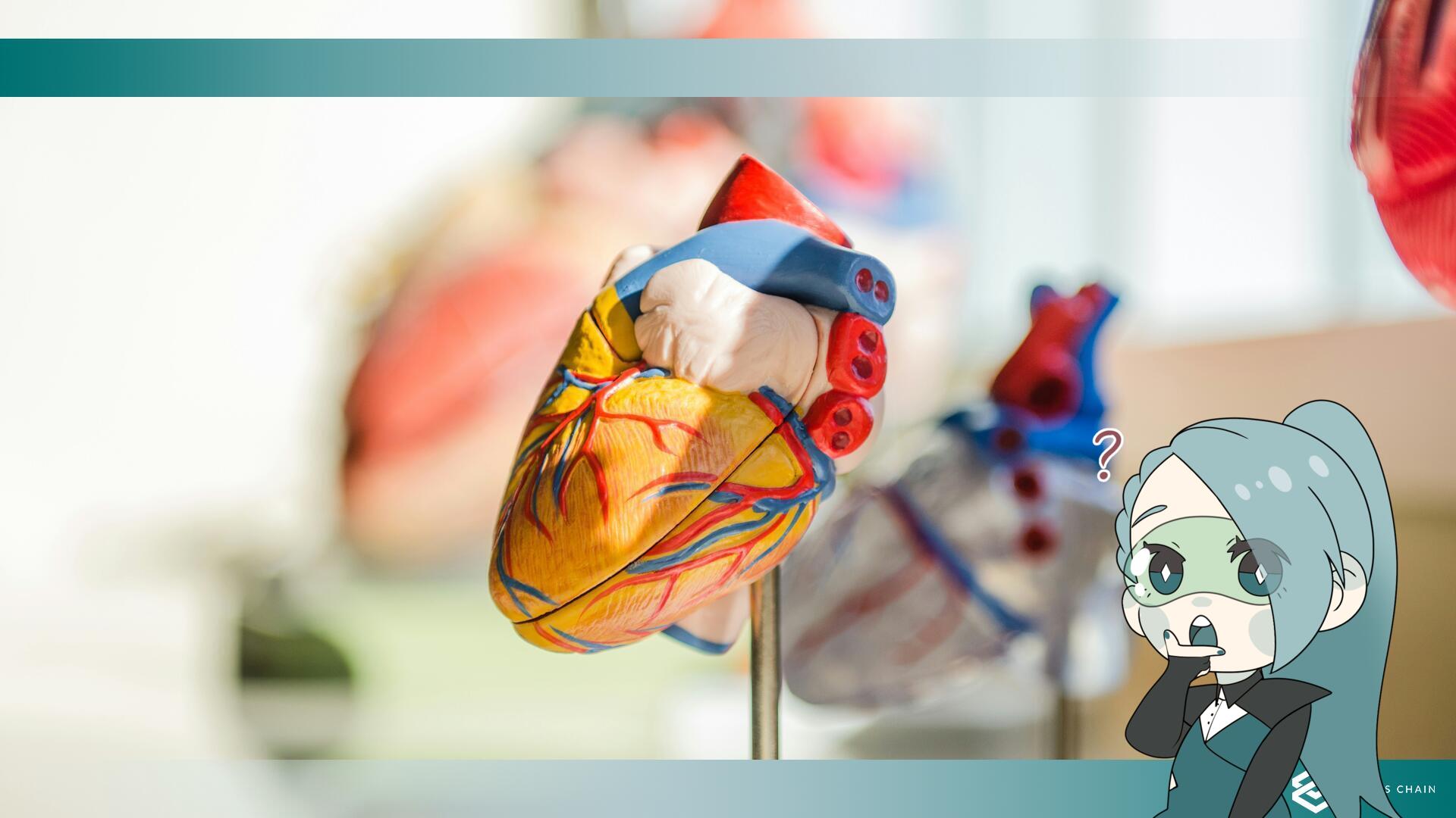 Uno studio sperimentale IA per individuare le patologie cardiache prima dei sintomi?