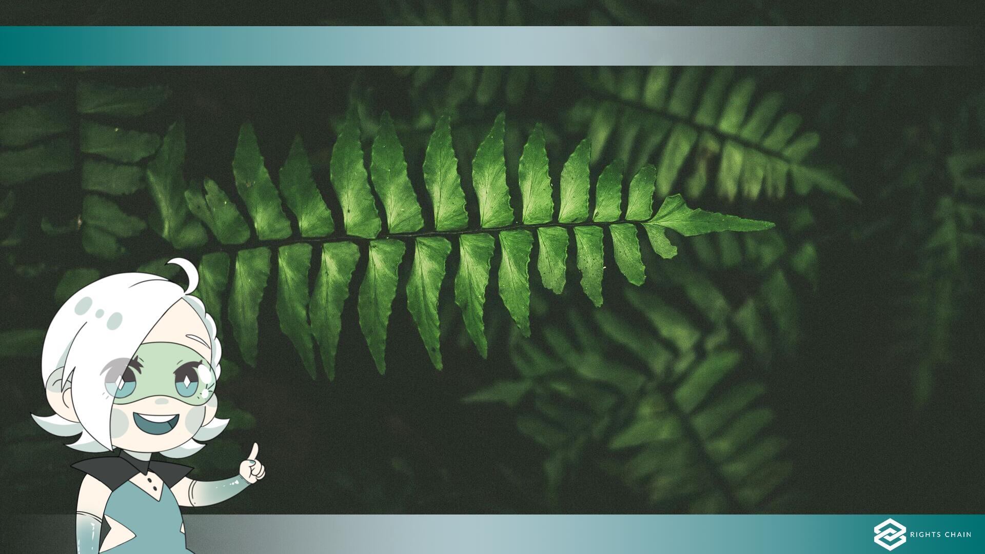  Ecosia has offered to take ‘stewardship’ of Chrome. And it’s not a bad idea.