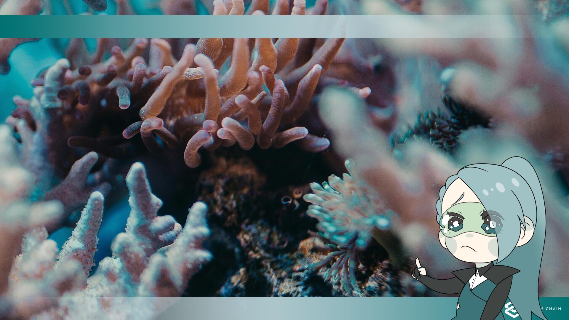 Il pianeta è entrato in una “nuova realtà” raggiungendo il suo primo punto di svolta climatico